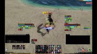 ArcheAge 50  Executioner  PvPPKPKK [upl. by Ylirama]