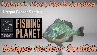 Fishing Planet  Unique Redear Sunfish  Neherrin River North Carolina [upl. by Fernas769]