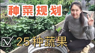 【菜园子12】種菜規劃25種蔬果  菜園种菜设计  vegetable garden grow plan25 types vegetables and fruits [upl. by Ellenyl]