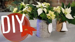 DIY met Kerststerren  nel amp makkelijk  Winterse boeketen in een pot MyPoinsettia [upl. by Hiram250]