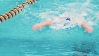 Highlights UCLA Swimming and Diving vs Cal [upl. by Adnale]