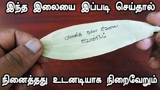 இந்த இலையை இப்படி செய்தால் நினைத்தது உடனடியாக நிறைவேறும்  VASIYAM  MANTHRIGAM  THANTHRIGAM [upl. by Ojaras766]