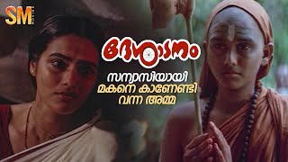 മകനെ സന്യാസിയായി കാണേണ്ടി വന്ന ഒരമ്മ  Desadanam  Vijayaraghavan  Master Kumar [upl. by Acinoed]