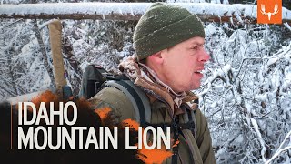 Idaho Mountain Lion  MeatEater Season 7 [upl. by Jenica]