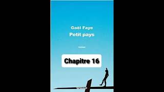 16  Petit Pays  Gael Faye  aide à la lecture  Chapitre 16 [upl. by Mays]