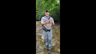 Fly Fishing the Tuckasegee River and Johnathons Creek in NC [upl. by Magan45]