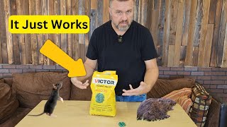 Say Goodbye to Rodents Victor M925 Rodent Killer Review – A Homestead MustHave  Victor M925 [upl. by Karlee75]