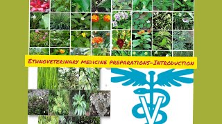 ETHNOVETERINARY MEDICINE PREPARATIONS INTRODUCTION [upl. by Eidnar]