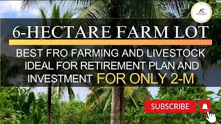 Vlog052 6hectare farm lot for only 2m best for retirementplan and investment [upl. by Inaffit]