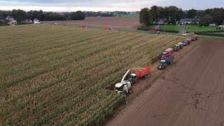 Ensilage 2K23 2x Krone de lETA Pesqueux en Seine Maritime [upl. by Naed767]