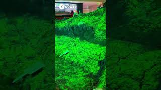 replica of raigad fort at korum mall great work viralvideoyoutubeshorts youtubevideo raigadfort [upl. by Mal]