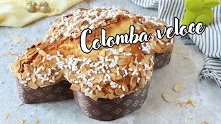 COLOMBA DI PASQUA FACILE e SENZA LIEVITAZIONE  Ricetta veloce per una colomba sofficissima [upl. by Leisha]