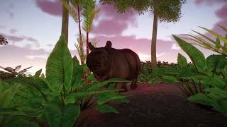 Wildlife of the World  Ep 2 The Sumatran Rhinoceros [upl. by Asseral]