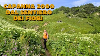 Rifugio Capanna 2000 dal Sentiero dei Fiori [upl. by Malas]