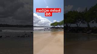 Unawatuna beach 😱 ගාල්ලනම් වෙනම පිස්සුවක් 😍 beach nature srilanka travel galla sortssubscribe [upl. by Ecnerual]