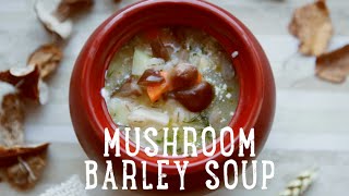 Mushroom Barley Soup BA Recipes [upl. by Ert]