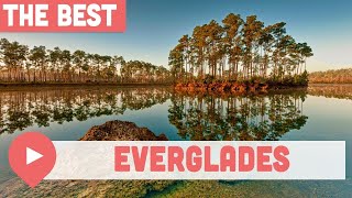 Best Things to Do in the Everglades [upl. by Ezmeralda189]