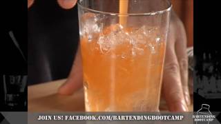 How to make a Peach Martini  Drink recipes from Bartending Bootcamp [upl. by Daph]