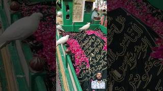 Kaliyar sharif ki dargah [upl. by Nylle]