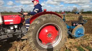 1965 Massey Ferguson 135 Multi Power 25 Litre 3Cyl Diesel Tractor 46 HP [upl. by Earissed]