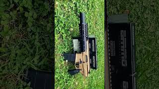 Sig Rattler Canebrake Pistol300 Blackout What you all think SBR or Pistol brace [upl. by Leahcimsemaj]