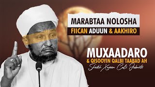 Muxaadaro Iyo Qisooyin Qalbi Taabad Ah  Sheikh Hussein Ali Jabuuti 2024 [upl. by Ahseuqal]