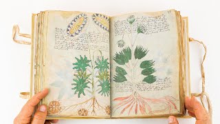 Voynich Manuscript Full version  ASMR  Facsimile Editions and Medieval Illuminated Manuscripts [upl. by Frasquito]