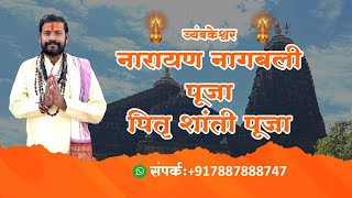 Narayan Nagbali Puja Trimbakeshwar  Pitra Dosh Pooja [upl. by Ferguson602]