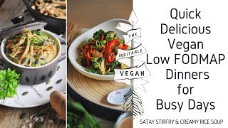 Quick Delicious Dinners for Busy Days  Vegan Low FODMAP Dinner Recipes [upl. by Dorothy]