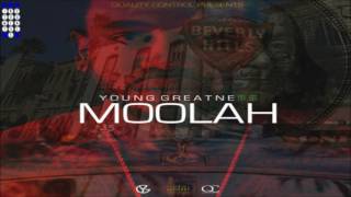 YOUNG GREATNESS MOOLAH INSTRUMENTAL [upl. by Atineg]