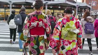 Geishas Unveiled Guardians of Tradition [upl. by Eniruam]