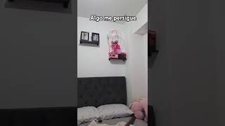 Algo raro apareció en mi cuarto 😨humorxd [upl. by Gurtner]