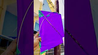 Pol se loot Li ek Patang viralvideo kitelooting kitelover kiteflying [upl. by Aimaj]