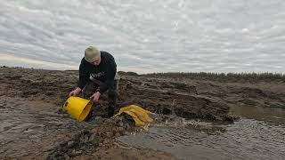 Bait Digging for Blow Lugworm Bailing a Pit [upl. by Eznyl]