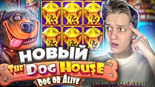 НОВЫЙ DOG HOUSE DOG OR ALIVE ПЕРВАЯ ПРОВЕРКА ОГРОМНЫЙ ЗАНОС это ЛУЧШИЙ СЛОТ [upl. by Geralda]