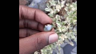 Natural Cats Eye Gemstone Sri lankan 💎 [upl. by Gayel]