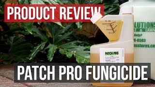 Patch Pro Fungicide Product Review [upl. by Corinna894]