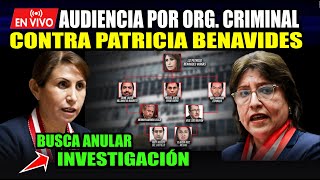 ¡ÚLTIMO MINUTO🚨 Apelación en el proceso seguido contra Patricia Benavides Vargas [upl. by Wiltshire220]