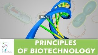 PRINCIPLES OF BIOTECHNOLOGY [upl. by Otreblide]