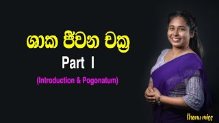 ශාක ජීවන චක්‍ර  Shaka jeewanachakra  Plant life cycles  Episode 01  Introduction amp Pogonatum [upl. by Fay]