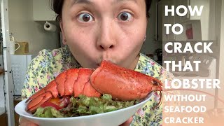 LOBSTER LOBSTER  How to Crack that Lobster Open Without Seafood Cracker [upl. by Kcirdnekel443]