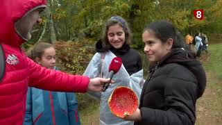 Un Paseo por Salamanca  Programa 36  Jornada Micológica en Linares de Riofrío [upl. by Ferretti]