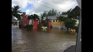 Hurricane Irma Sanibel Flooding Blind Pass Castaways Marina September 11 2017 [upl. by Hestia]