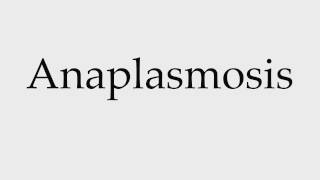 How to Pronounce Anaplasmosis [upl. by Abram]