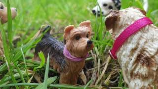 The Wild EP1  Cat  Schleich Dog Series [upl. by Joeann]