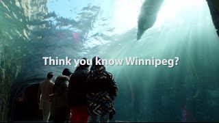 Think You Know Winter  Winnipeg [upl. by Intyre651]