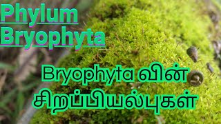 Kingdom Plantaeதாவர இராச்சியம் Phylum Bryophyta இன் சிறப்பியல்புகள்  Phylum Bryophyta  Unit  3 [upl. by Egdirdle]