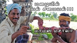 புயல் மழையில் முயல் சமையல்   மாம்ஸ் மசாலா  HEALTH BENIFITS [upl. by Lalittah]