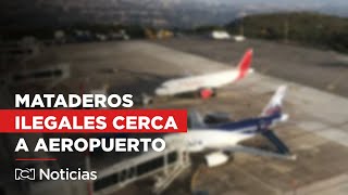 Denuncian mataderos ilegales y presencia de gallinazos cerca al Aeropuerto Palonegro [upl. by Aknaib]