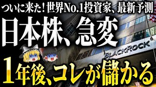 今コレ買っとけば勝ち！世界一の投資家「ブラックロック」が激推しする株はこれ！1年後に爆上がりします [upl. by Kapor178]